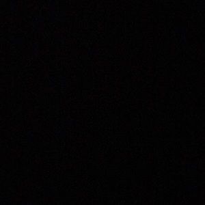 Meet your Posher, Kyree